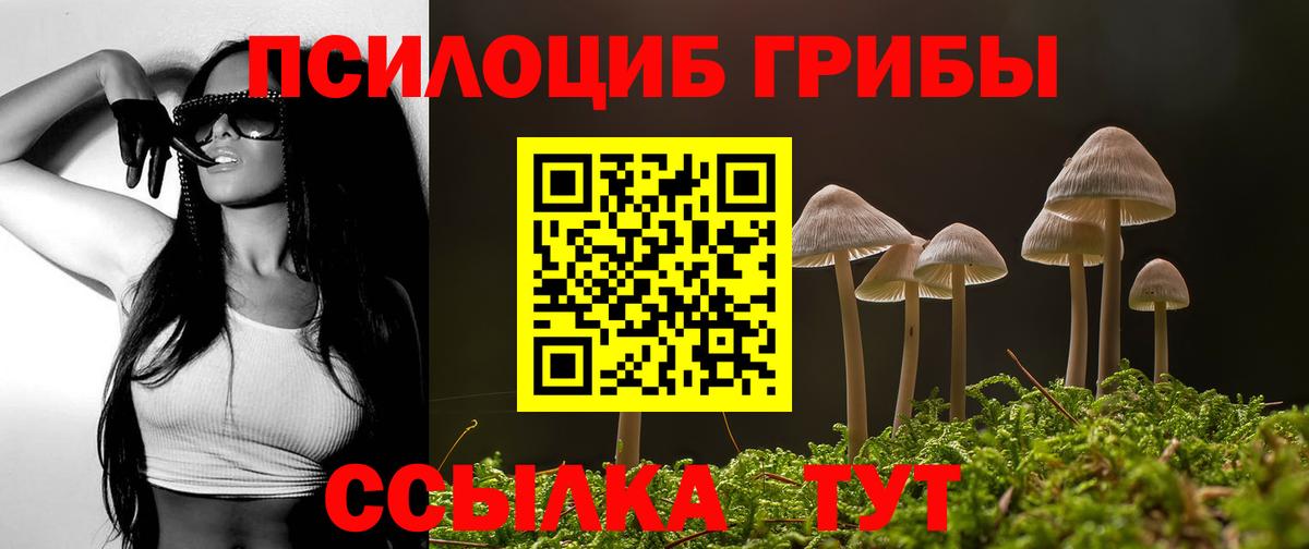 цена   Вход с VPN  Галлюциногенные грибы Cubensis  Санкт-Петербург  Псилоцибиновые грибы мухоморы 